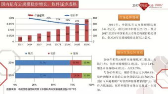 2017年中國公共云發(fā)展調(diào)查報告與可信云觀察 基礎(chǔ)軟件服務(wù)分析